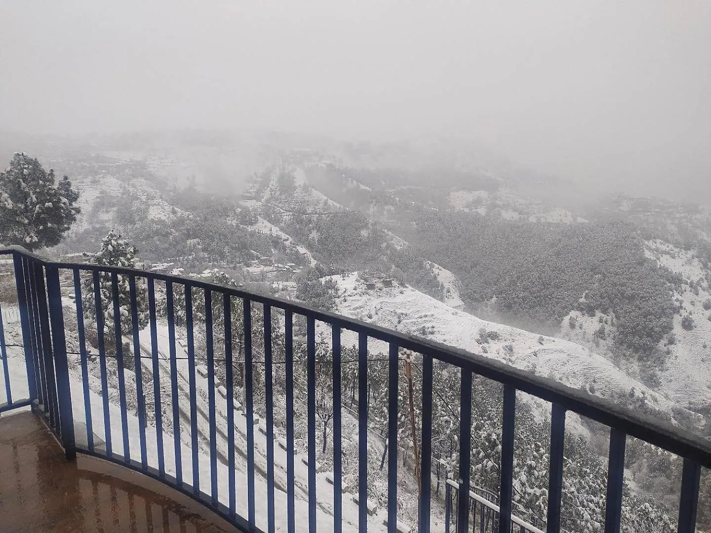 Royal Cedar Retreat Bed & Breakfast Shimla