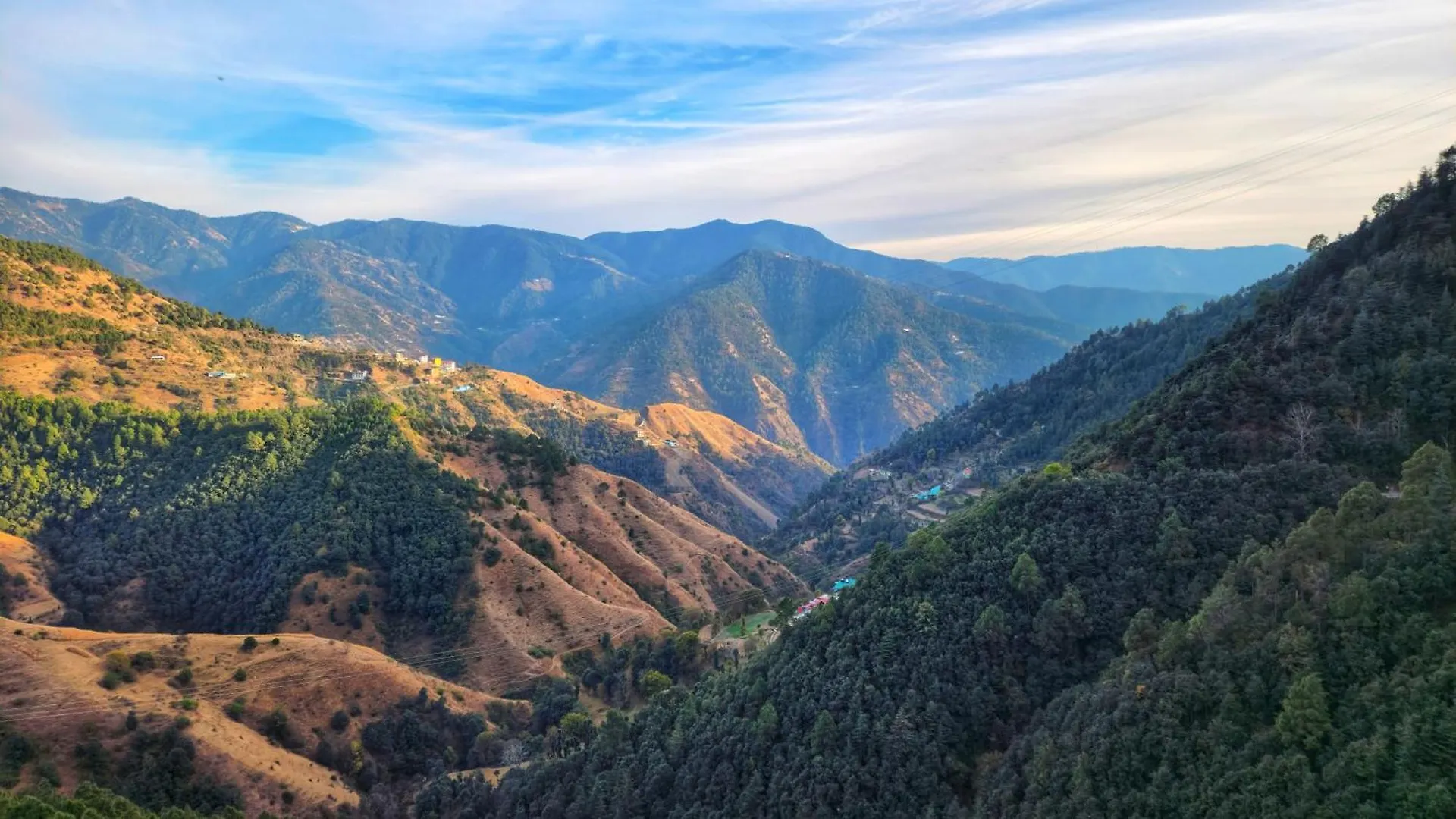Royal Cedar Retreat Bed & Breakfast Shimla