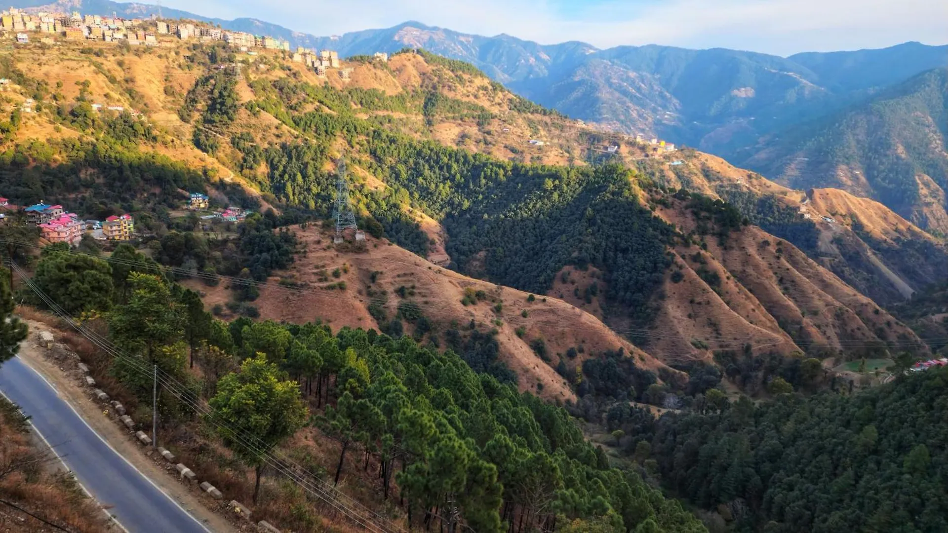 Royal Cedar Retreat Bed & Breakfast Shimla India