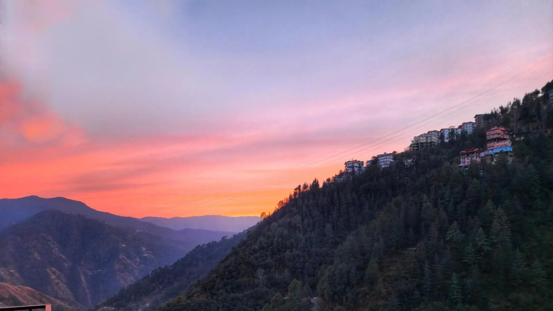 Royal Cedar Retreat Bed & Breakfast Shimla