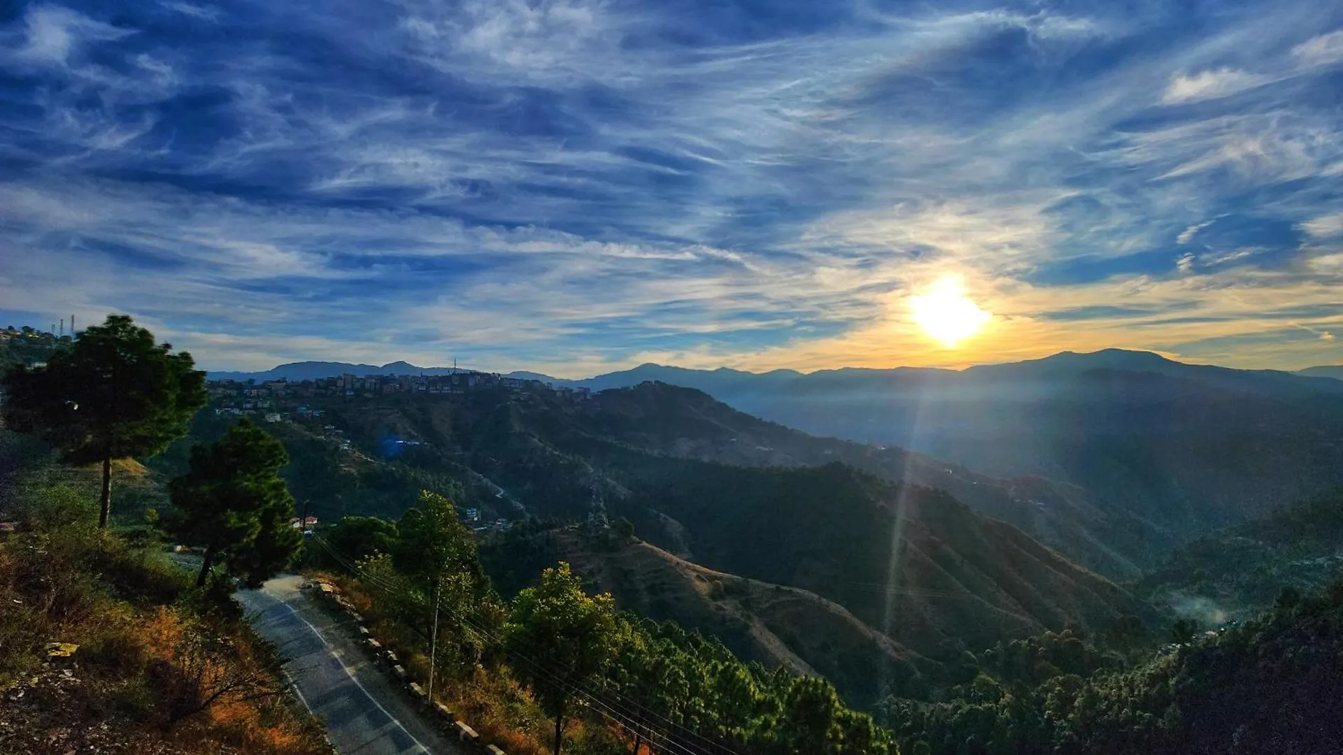 Royal Cedar Retreat Bed & Breakfast Shimla