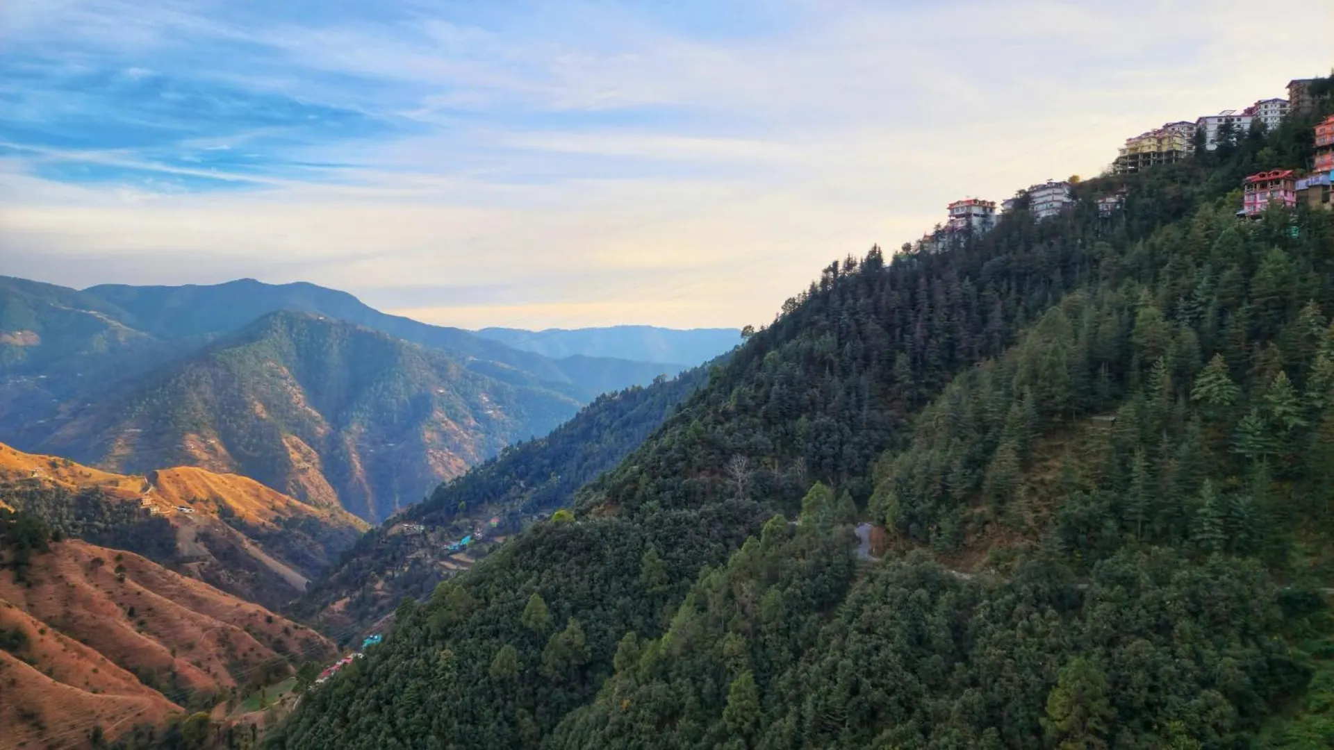 Royal Cedar Retreat Bed & Breakfast Shimla