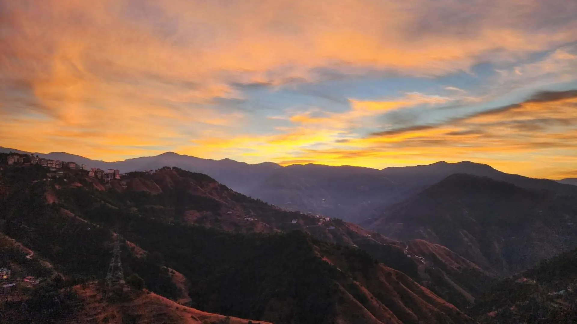 Royal Cedar Retreat Bed & Breakfast Shimla