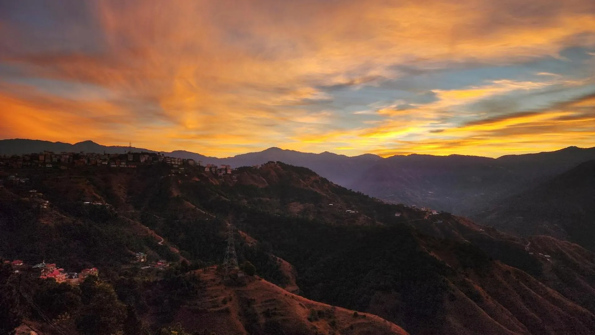 Royal Cedar Retreat Bed & Breakfast Shimla